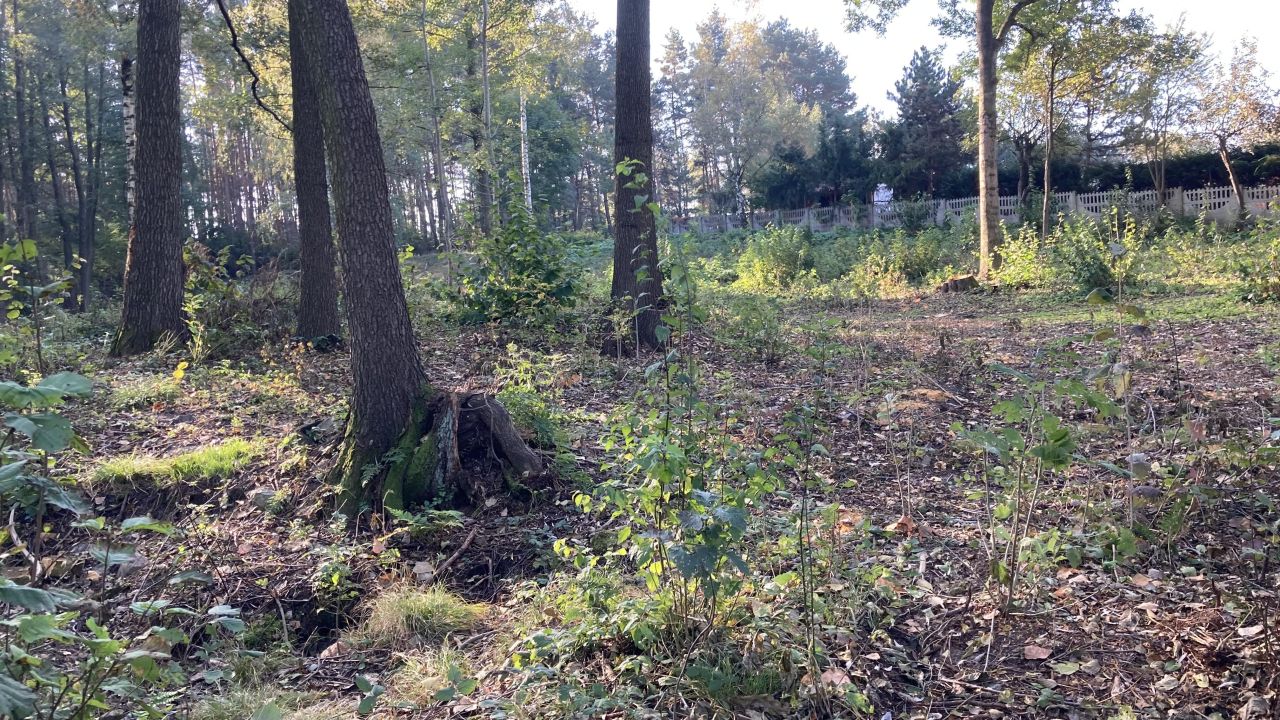 Działka inna Potaśnia, ul. Czereśniowa. Zdjęcie 4