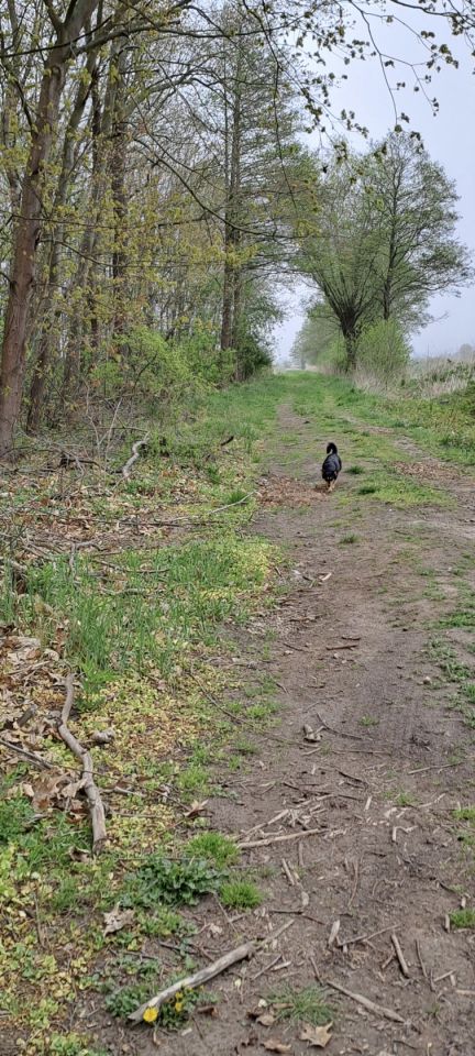 Działka budowlana Jantar, ul. Południowa. Zdjęcie 3