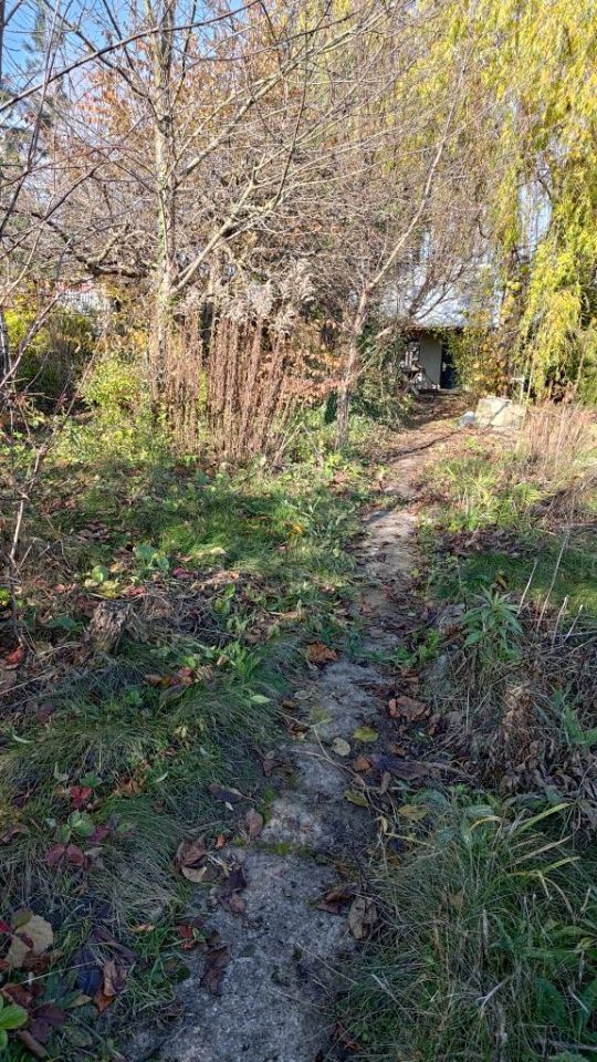 Działka rod Elbląg Bielany. Zdjęcie 2