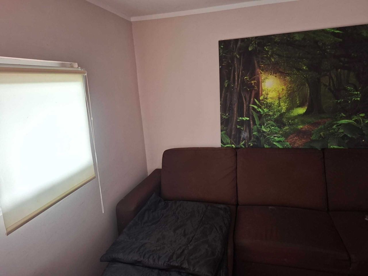 Działka rod Wronki, ul. Polna. Zdjęcie 7