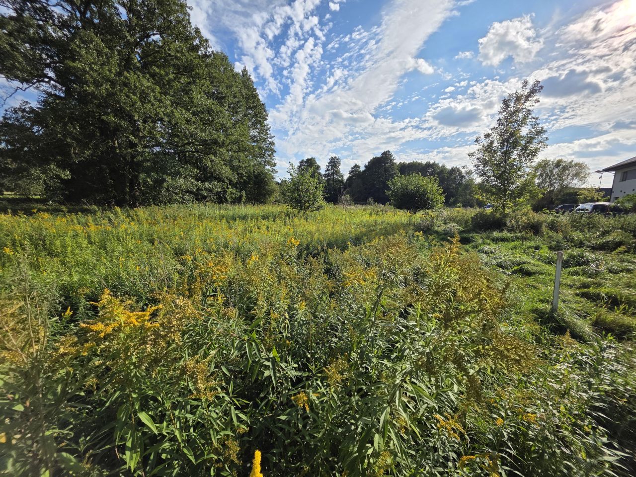 Działka budowlana Józefów, ul. Leśna. Zdjęcie 2