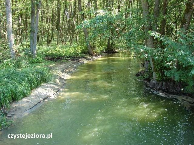 Działka budowlana Krosino. Zdjęcie 1