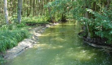 Działka budowlana Krosino