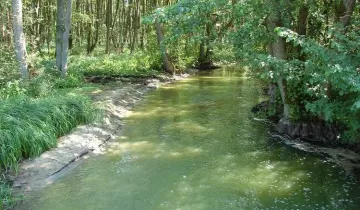 Działka na sprzedaż bez pośredników 
 
 Radomyśl - Widok 5