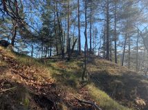 Działka budowlana Trzcińsko. Zdjęcie 4