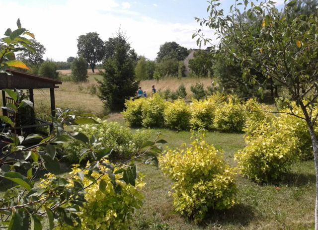 Działka budowlana Skrzydłowo. Zdjęcie 1