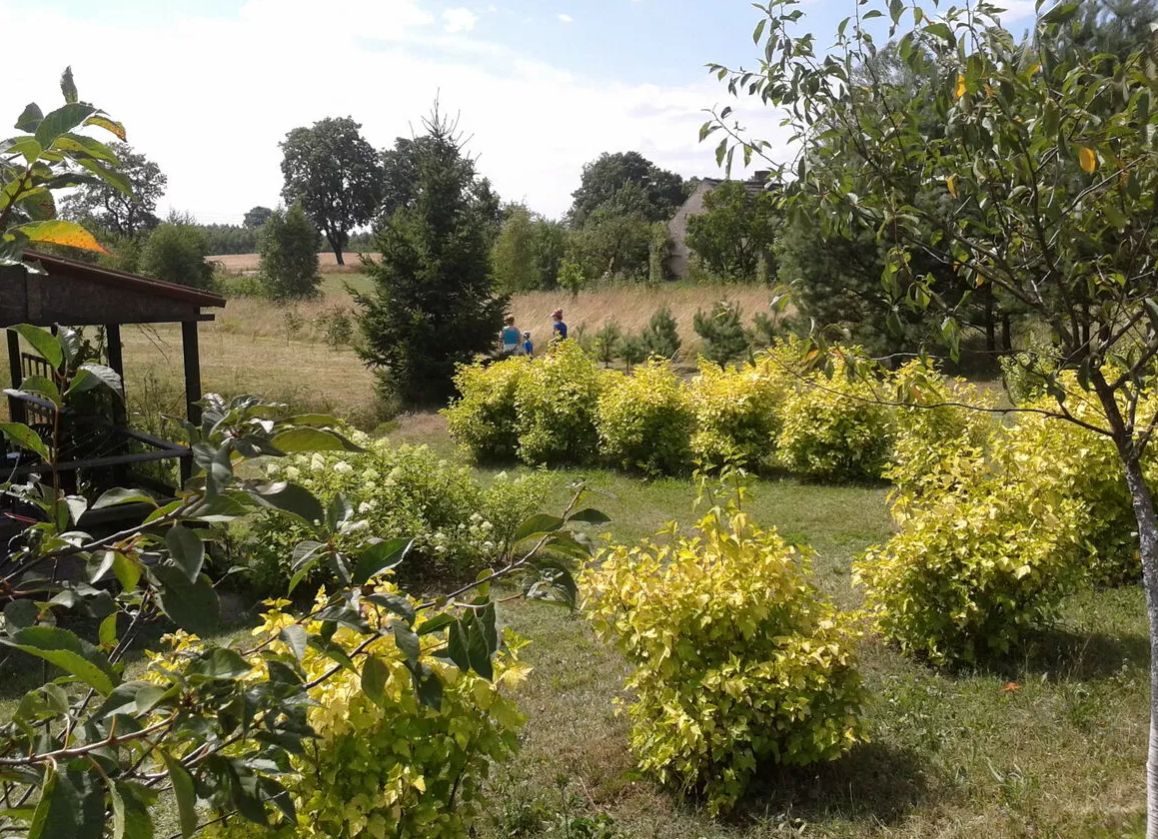 Działka budowlana Skrzydłowo