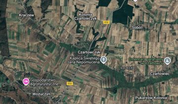 Działka rolna Czartowczyk Kolonia Czartowczyk