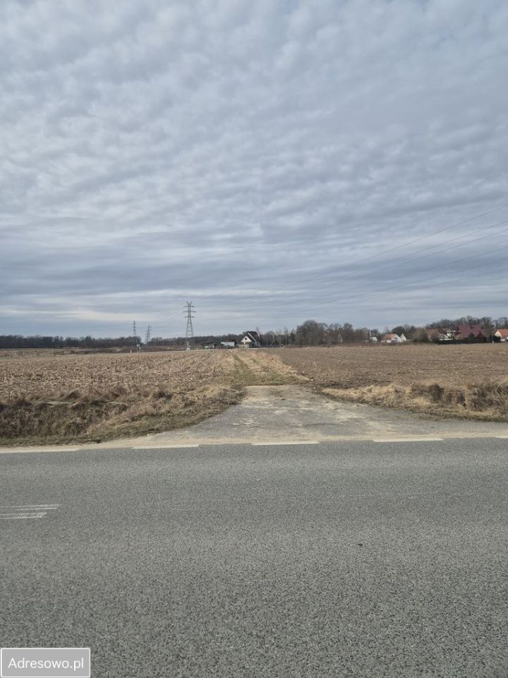 Działka rolna Stoszyce. Zdjęcie 5