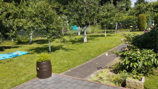 Działka rod Legnica. Zdjęcie 1