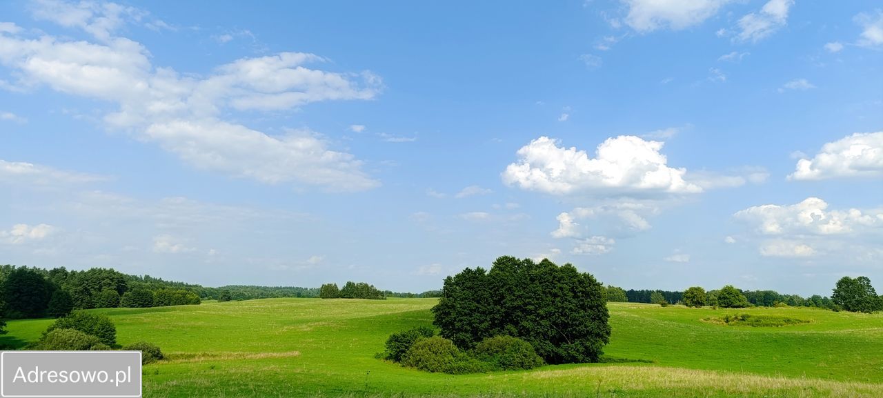 Działka budowlana Zalewo. Zdjęcie 6