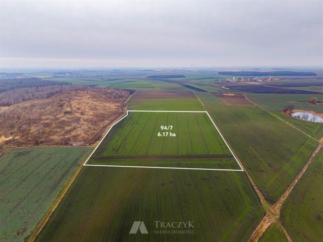 Działka rolna Rusko. Zdjęcie 1