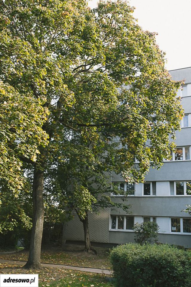 Mieszkanie 2-pokojowe Warszawa Żoliborz, ul. Sady Żoliborskie. Zdjęcie 20