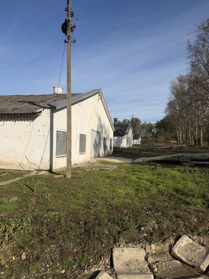 Nieruchomość komercyjna Januszkowice. Zdjęcie 8