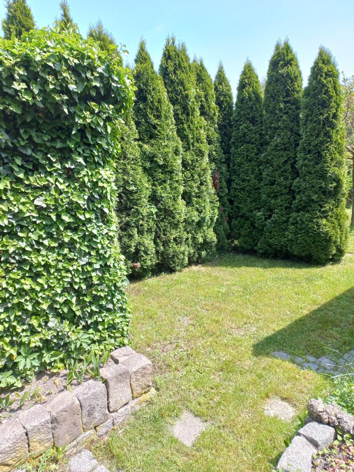 Działka rod Ruda Śląska Orzegów, ul. Kardynała Augusta Hlonda. Zdjęcie 5