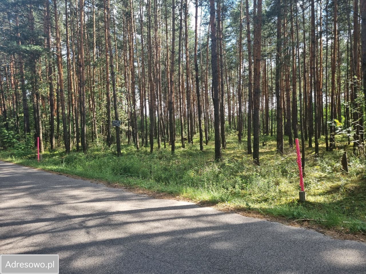 Działka leśna Ostrowy nad Okszą, ul. Zadworna