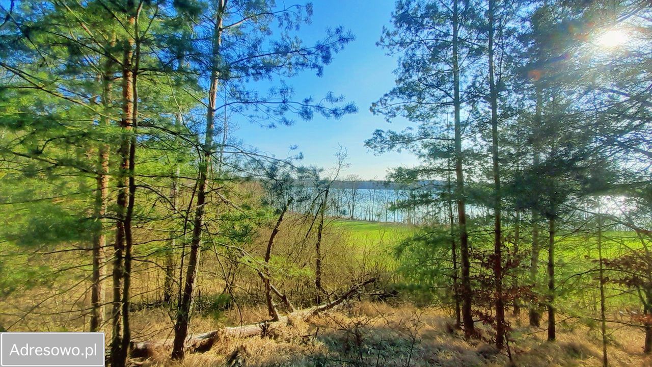 Działka siedliskowa Sieraków. Zdjęcie 7