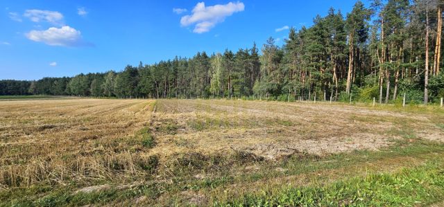 Działka budowlana Petrykozy, ul. Główna. Zdjęcie 8