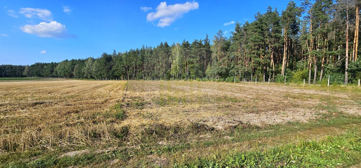 Działka budowlana Petrykozy, ul. Główna. Zdjęcie 8