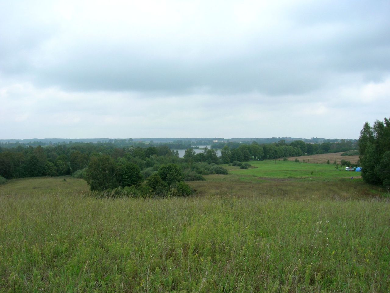 Działka siedliskowa Kikity. Zdjęcie 7