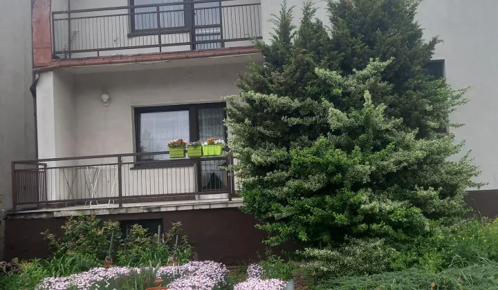 dom wolnostojący, 5 pokoi Myszków, asfaltowa