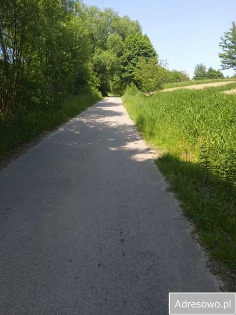 Działka budowlana Stara Słupia. Zdjęcie 5