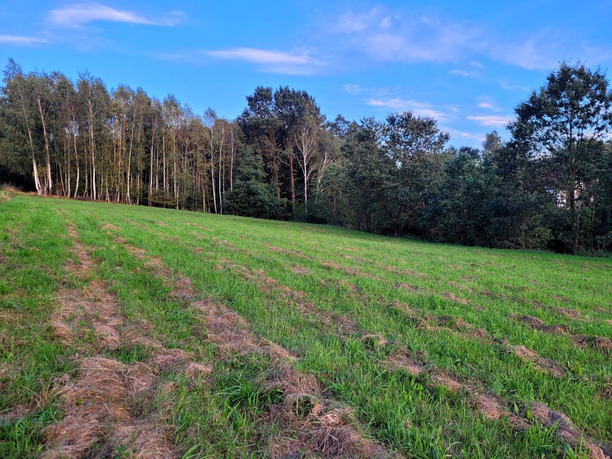 Działka budowlana Zawada Uszewska. Zdjęcie 11