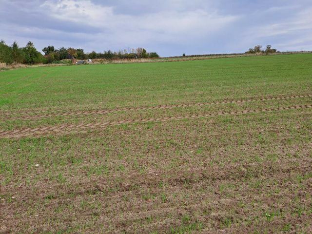 Działka rolno-budowlana Opatów, ul. Klepaczka. Zdjęcie 1