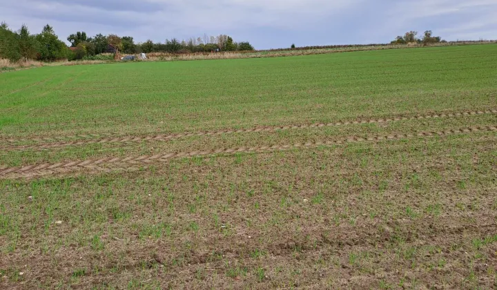 Działka rolno-budowlana Opatów, ul. Klepaczka