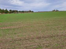 Działka rolno-budowlana Opatów, ul. Klepaczka