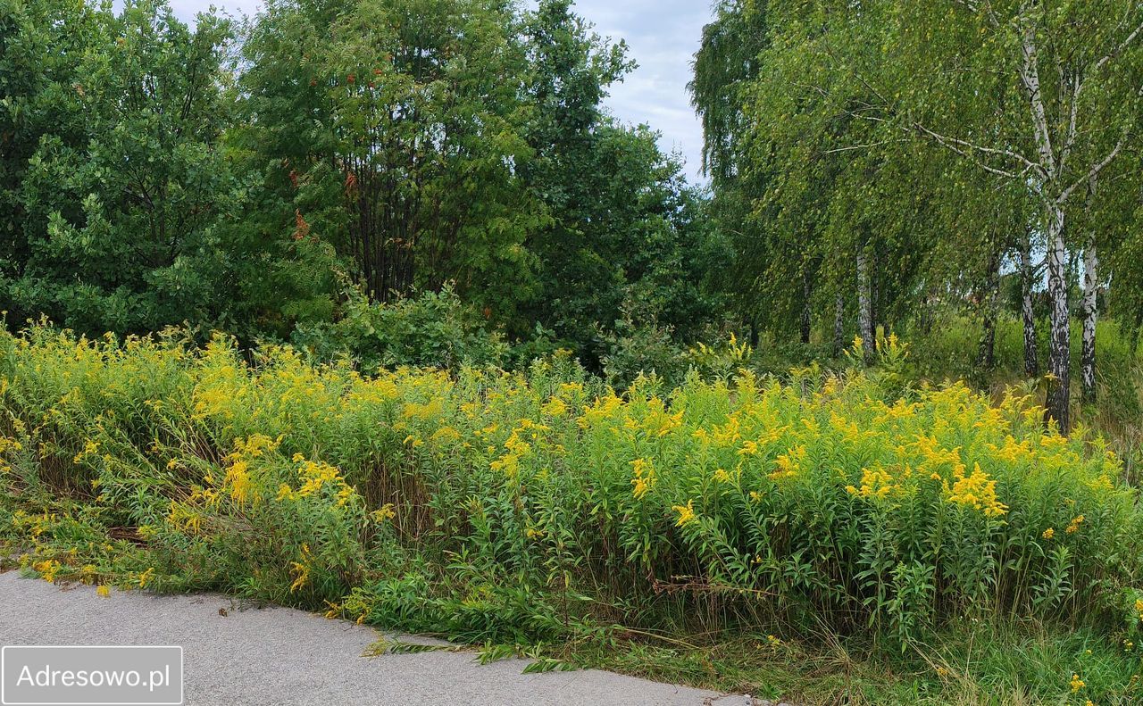 Działka inwestycyjna Warszawa Białołęka, ul. Małopolska. Zdjęcie 2
