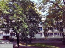 Pokój Warszawa Saska Kępa, ul. Brazylijska