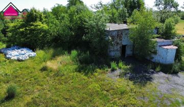 Lokal Strzelno Klasztorne