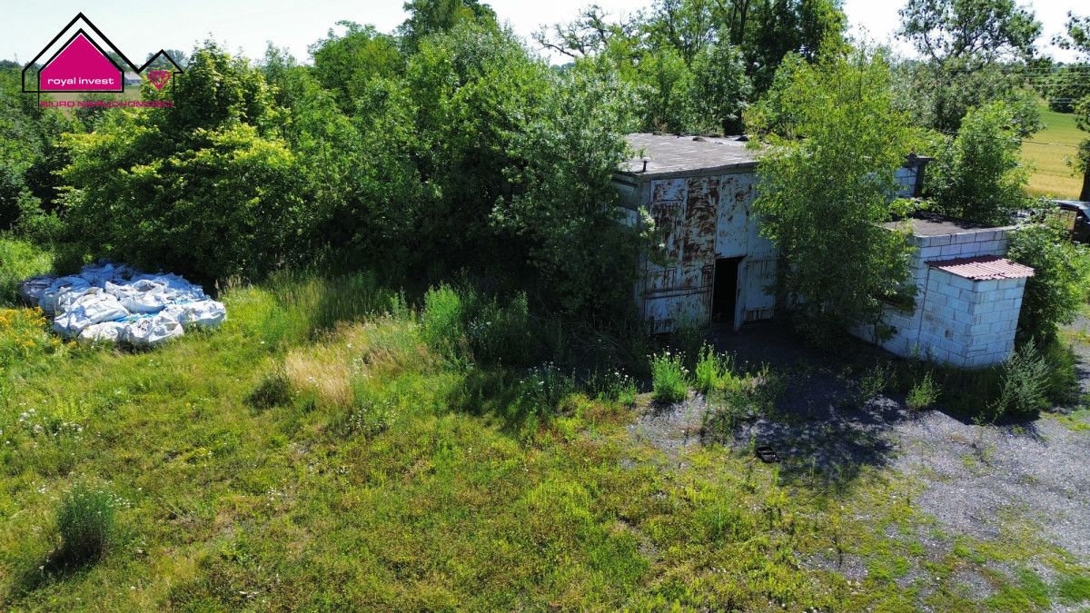 Lokal Strzelno Klasztorne. Zdjęcie 2