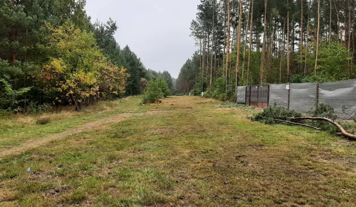 Działka budowlana Poddębice