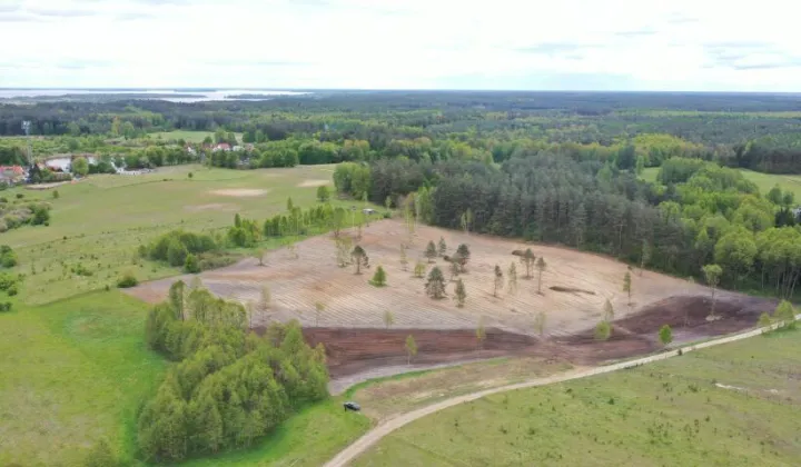 Działka rolna Prawdowo