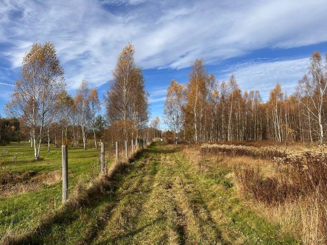 Działka budowlana Wymiarki. Zdjęcie 1