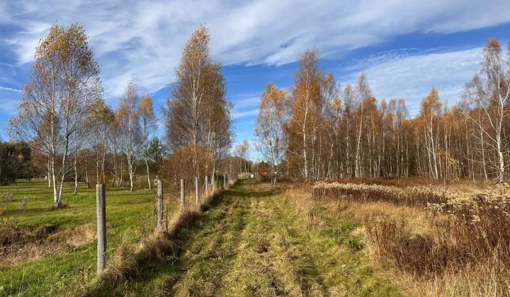 Działka budowlana Wymiarki