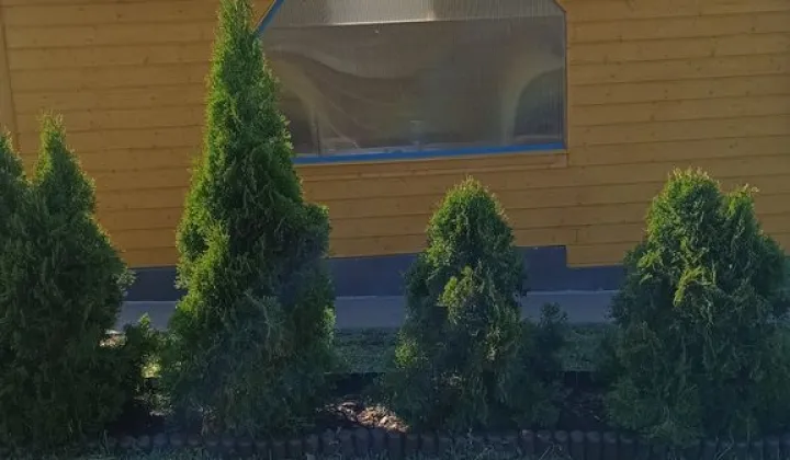 Działka rolno-budowlana Kożuchy Wielkie