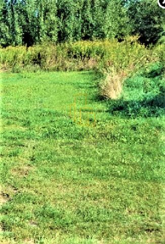 Działka budowlana Radomierzyce. Zdjęcie 4