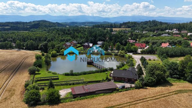 Lokal Dziwiszów. Zdjęcie 9