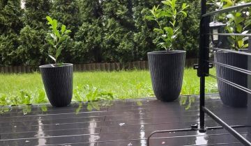 Mieszkanie 2-pokojowe Ostrów Mazowiecka