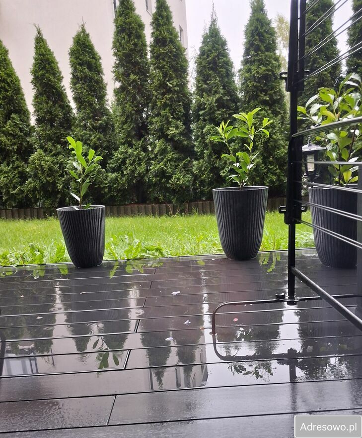 Mieszkanie 2-pokojowe Ostrów Mazowiecka. Zdjęcie 2