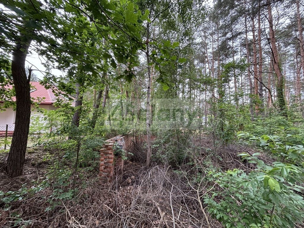Działka budowlana Stare Załubice. Zdjęcie 6