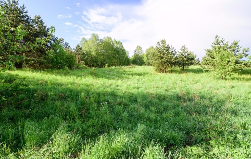 Działka rolna Łapka. Zdjęcie 7