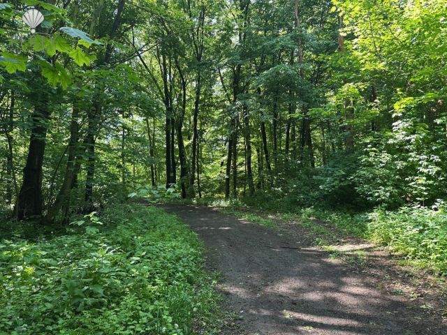 Mieszkanie 4-pokojowe Piotrowice. Zdjęcie 30