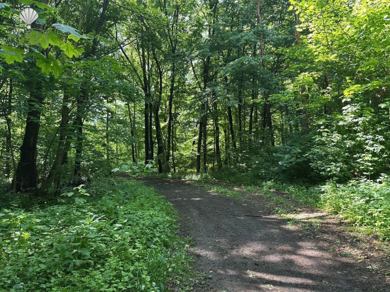 Mieszkanie 4-pokojowe Piotrowice. Zdjęcie 30