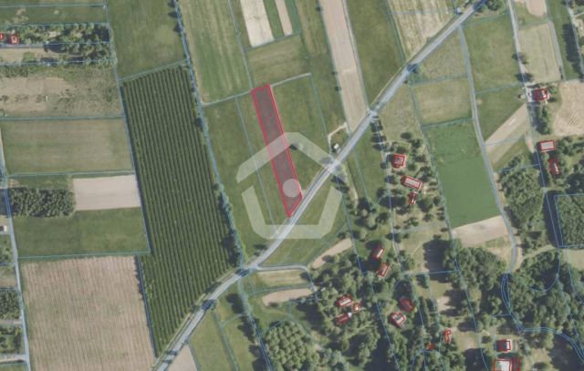 Działka Straszydle. Zdjęcie 2