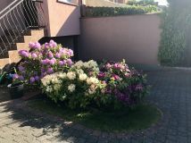 bliźniak, 4 pokoje Mosty, ul. Długa. Zdjęcie 2