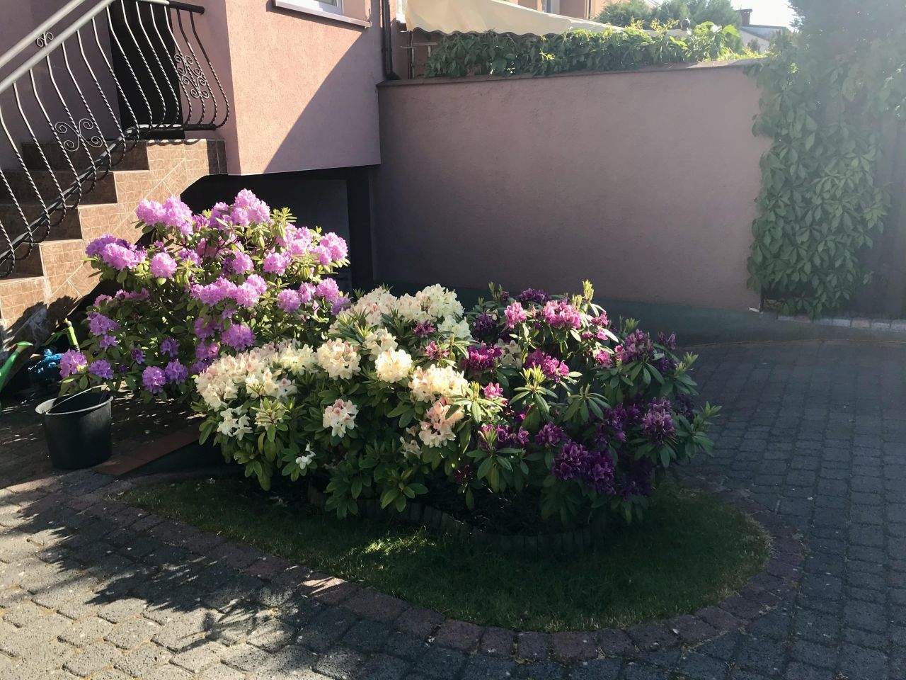 bliźniak, 4 pokoje Mosty, ul. Długa. Zdjęcie 3